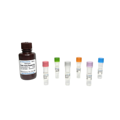 Tribioscience Tribioscience Protein Assay Kit (TBS2005)