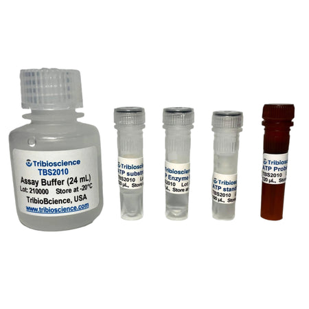 Tribioscience ATP Colorimetric/Fluorometric Assay Kit (TBS2010)