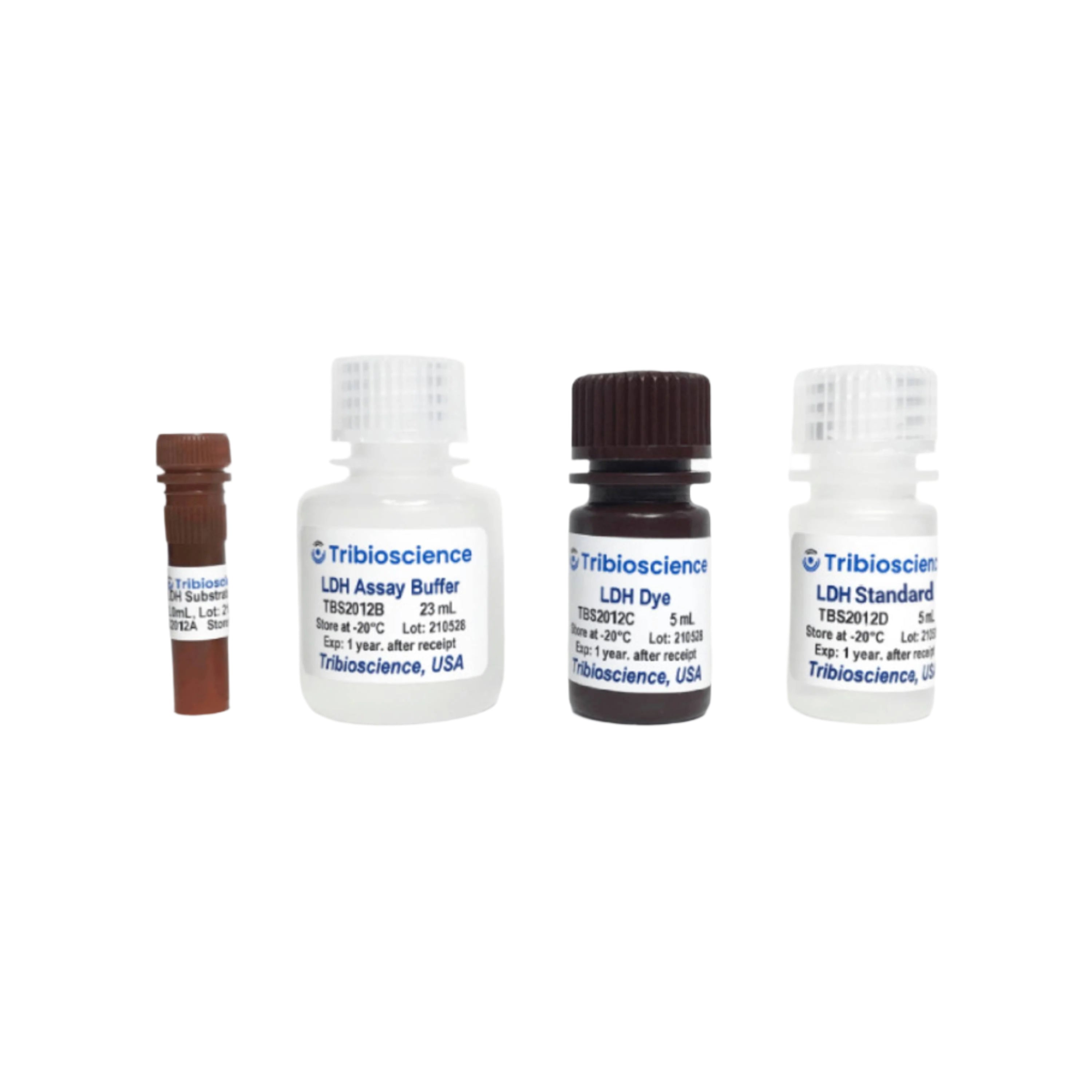 Tribioscience LDH Lactate Dehydrogenase Colorimetric Assay (TBS2012)
