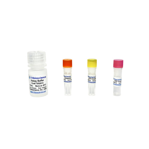 Tribioscience ADP/ATP Ratio Assay Kit (Bioluminescent) (TBS2015)