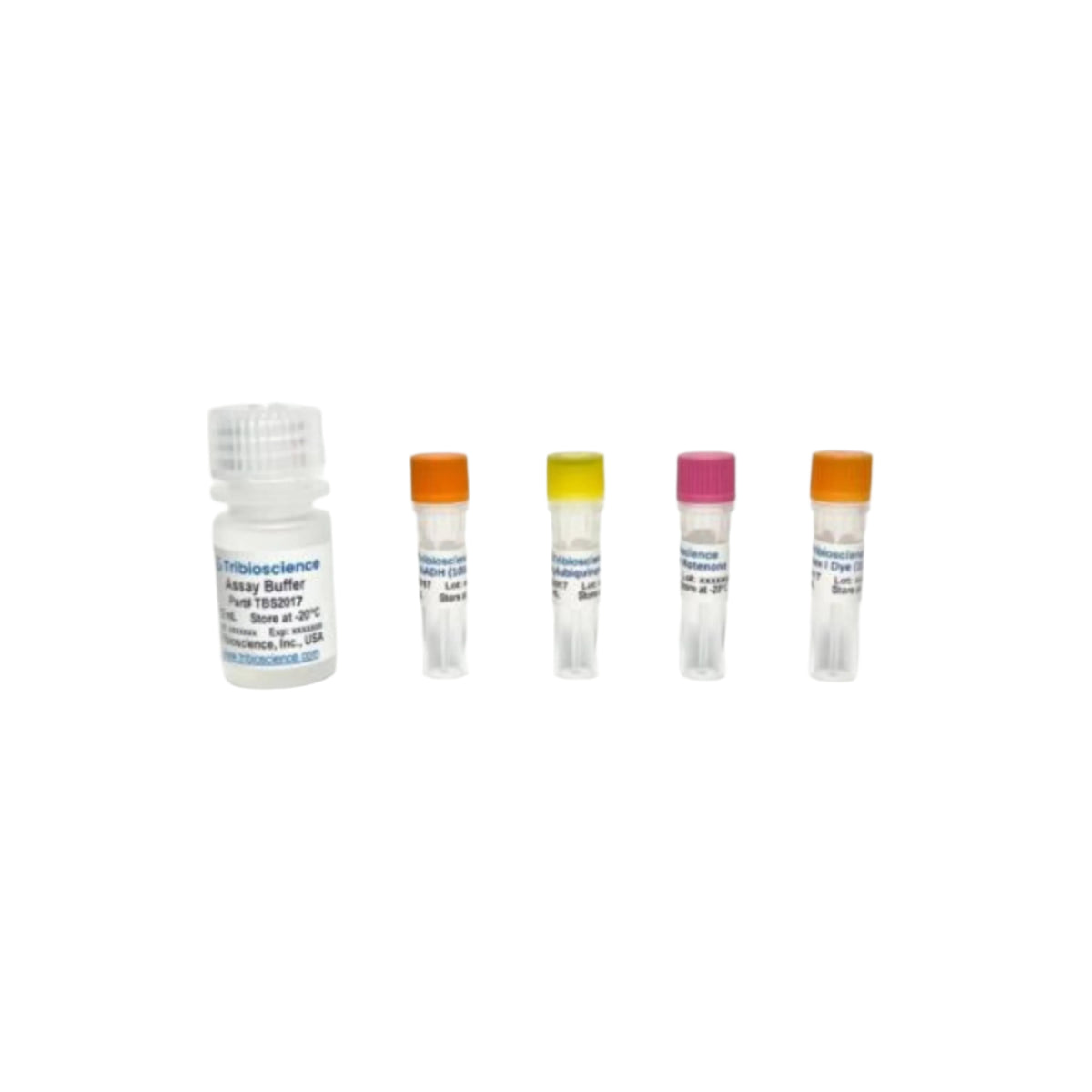 Tribioscience Mitochondrial Complex I Activity Colorimetric Assay (TBS2017)