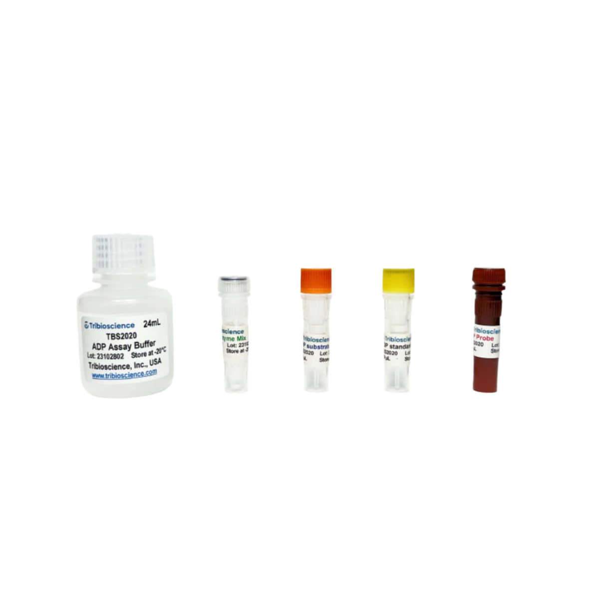 Tribioscience ADP Colorimetric/Fluorometric Assay Kit (TBS2020)