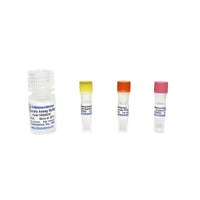Tribioscience Pyruvate Colorimetric Assay (TBS2023C)