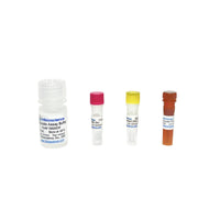 Tribioscience Pyruvate Fluorometric Assay (TBS2023F)