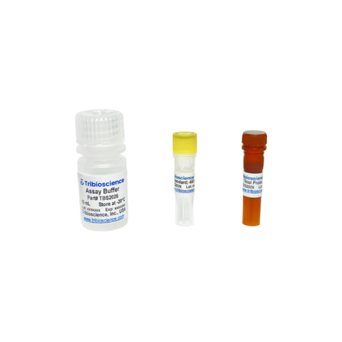 Tribioscience Thiol Fluorometric Assay (TBS2026)