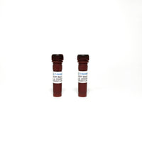 Tribioscience Acridine Orange-Propidium Iodide (AO-PI) Stain (TBS2027)