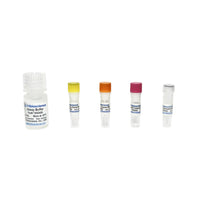Tribioscience NADH/NAD Quantification Colorimetric Assay (TBS2029)