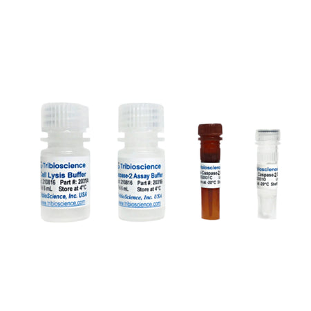 Tribioscience Caspase-2 Fluorometric Assay Kit (TBS2031F)