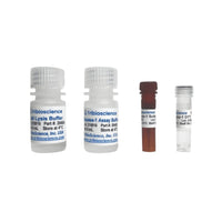 Tribioscience Caspase-1 Colorimetric Assay Kit (TBS2040)