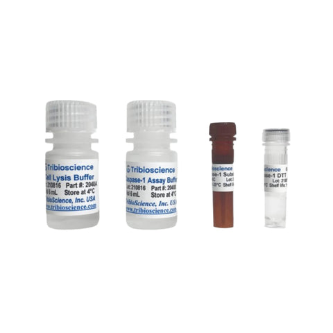 Tribioscience Caspase-1 Colorimetric Assay Kit (TBS2040)