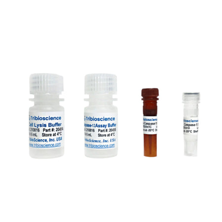 Tribioscience Caspase-12 Fluorometric Assay Kit (TBS2041F)