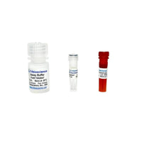 Tribioscience CD38 hydrolase Activity Fluorometric Assay (TBS2047)