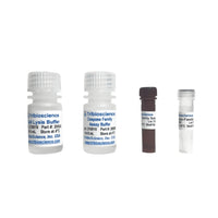 Tribioscience Caspase-Family Colorimetric Assay Kit (TBS2050)