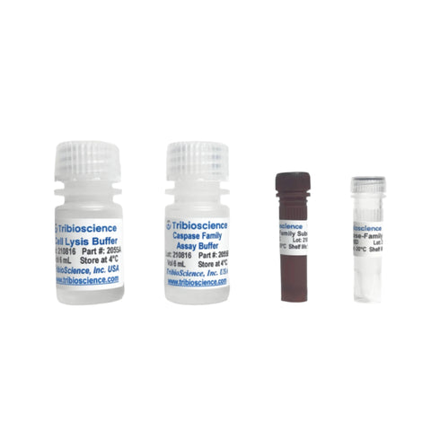 Tribioscience Caspase-Family Fluorometric Assay Kit (TBS2055)
