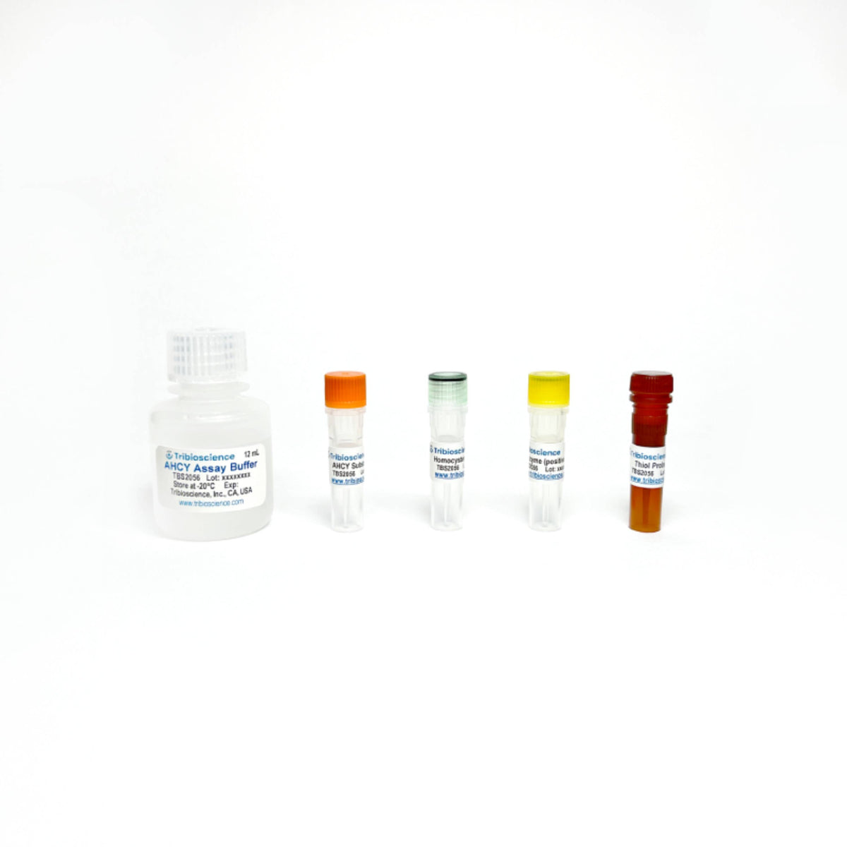 Tribioscience Adenosyl homocysteinase (AHCY) Fluorometric Assay (TBS2056)