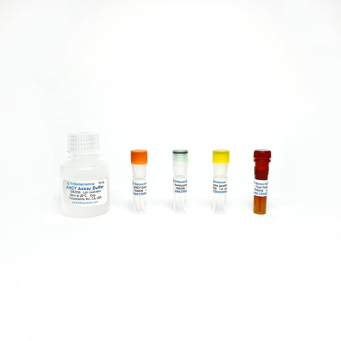 Tribioscience Adenosyl homocysteinase (AHCY) Fluorometric Assay (TBS2056)