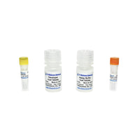 Tribioscience HDAC Fluorometric Assay Kit (TBS2060)