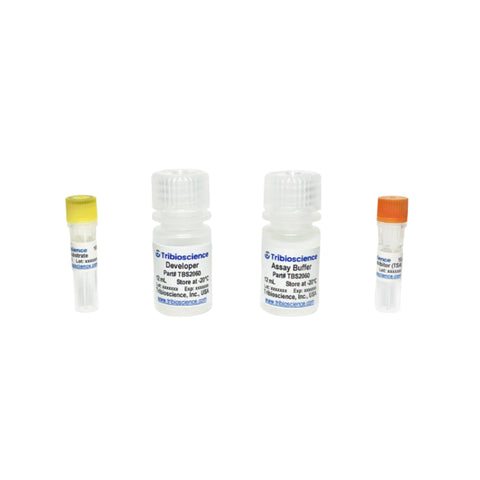 Tribioscience HDAC Fluorometric Assay Kit (TBS2060)