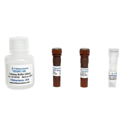 Tribioscience Horseradish Peroxidase Activity Assay