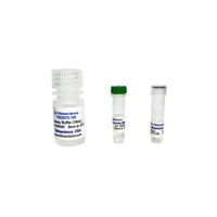 Tribioscience Tyrosine Colorimetric Assay (TBS2070)