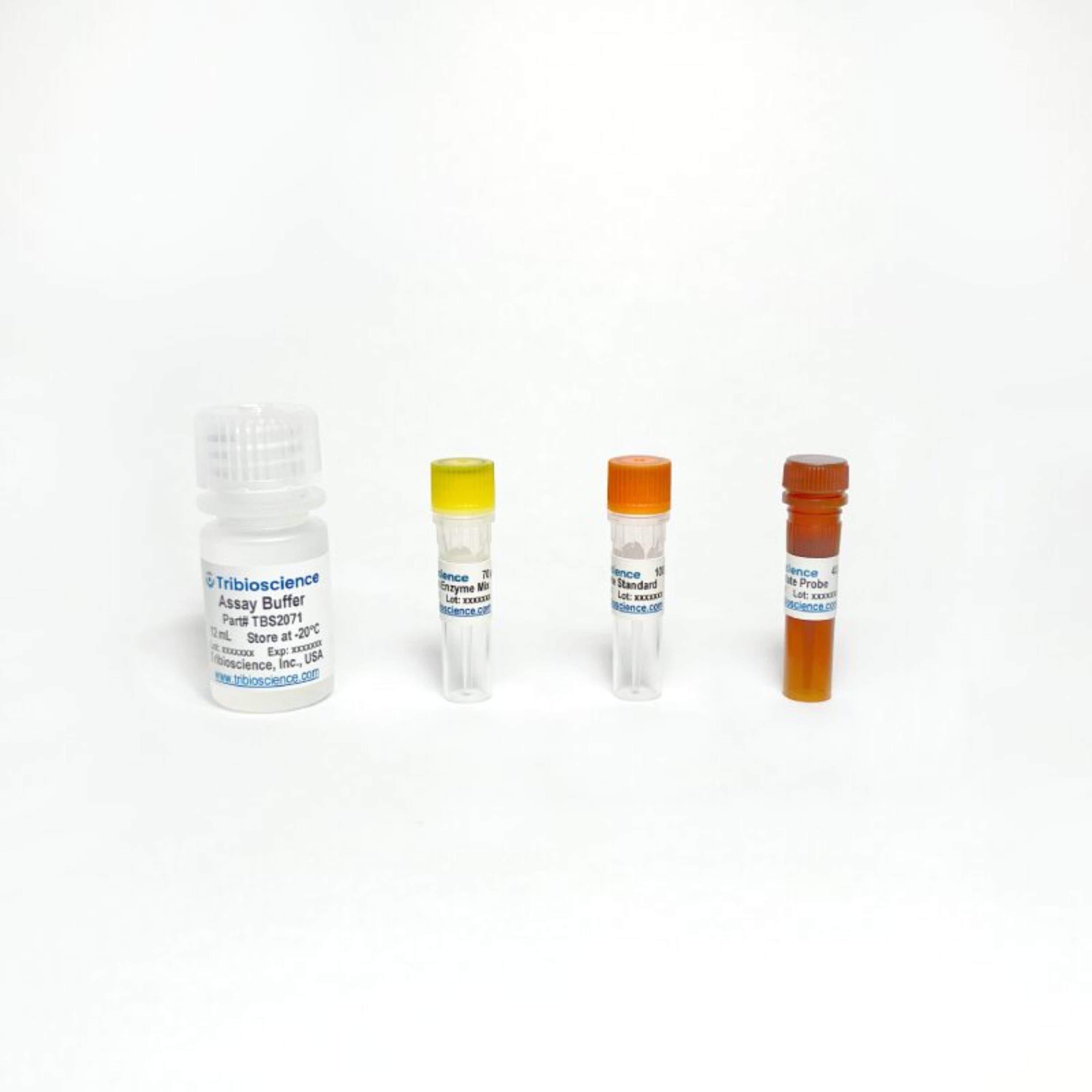 Tribioscience Lactate Colorimetric Assay (TBS2071)