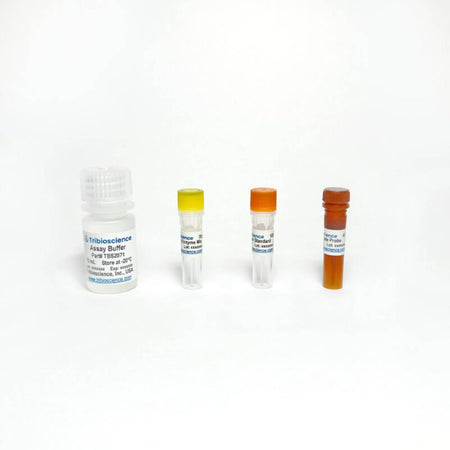Tribioscience Lactate Colorimetric Assay (TBS2071)