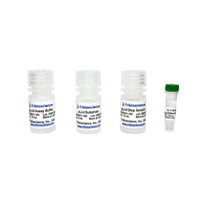 Tribioscience Acid Phosphatase Activity Colorimetric Assay (TBS2075)