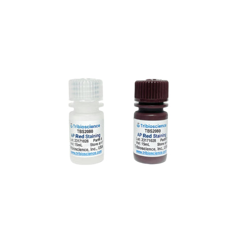 Tribioscience Alkaline Phosphatase Red Staining Kit (TBS2080)