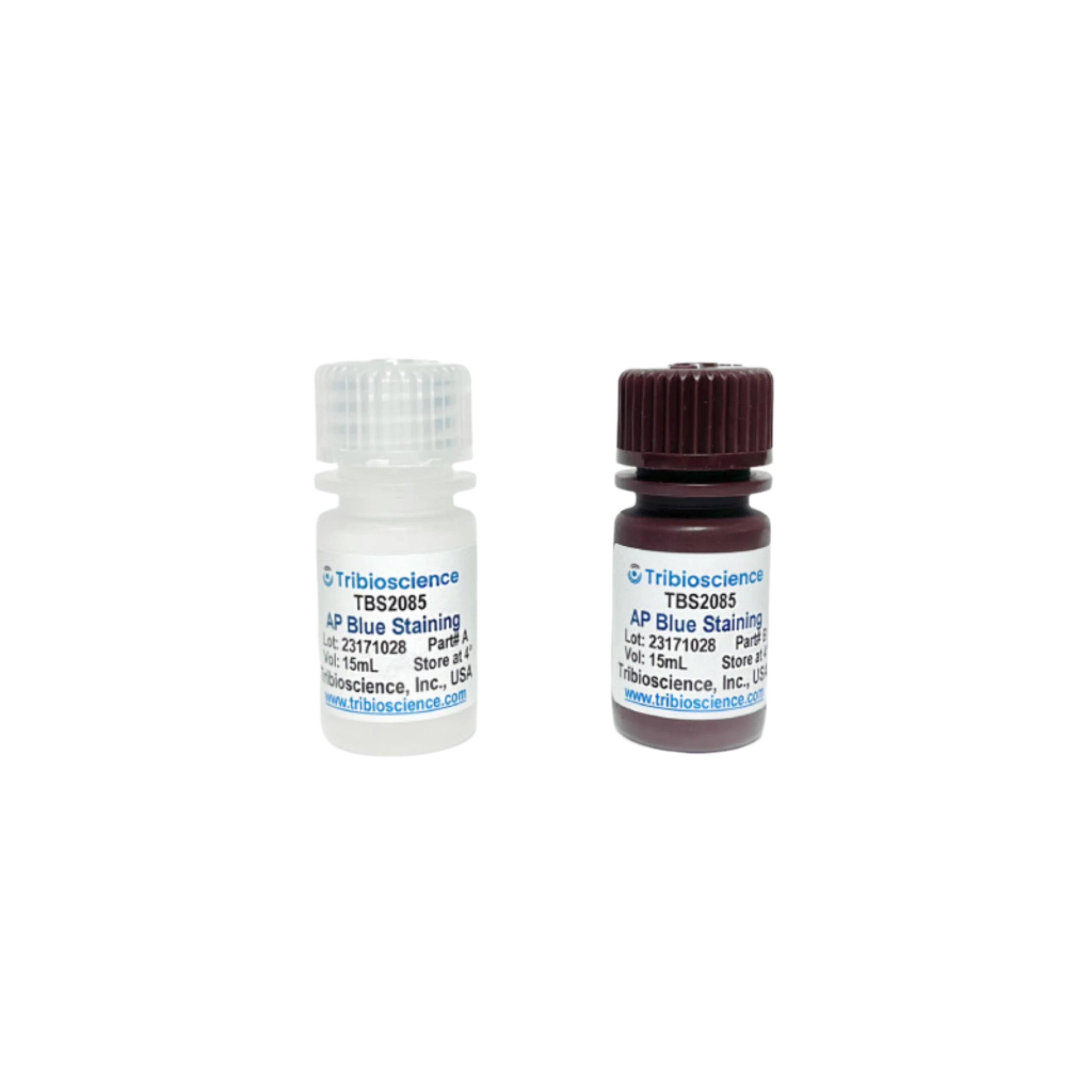 Tribioscience Alkaline Phosphatase Blue Staining kit