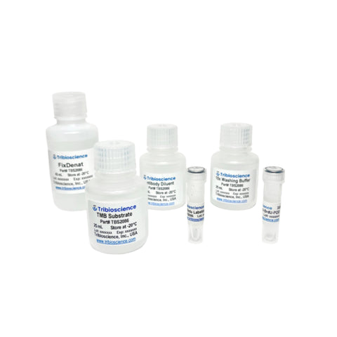 Tribioscience BrdU Cell Proliferation Colorimetric Assay (TBS2086)