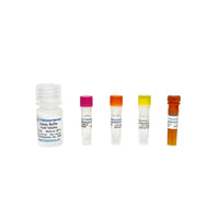 Tribioscience Acetaldehyde Assay Kit (Fluorometric) (TBS2094)