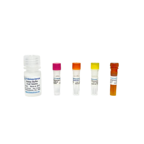 Tribioscience Acetaldehyde Assay Kit (Fluorometric) (TBS2094)