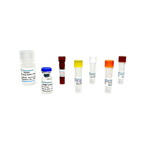 Tribioscience NNMT Inhibitor Screening Assay (TBS2097)