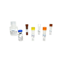 Tribioscience NNMT Activity Fluorometric Assay (TBS2098)