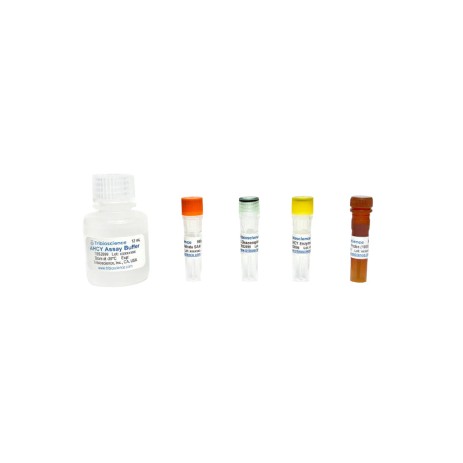 Tribioscience Adenosylhomocysteine (AHCY) Inhibitor Screening Assay (Fluorometric) (TBS2099)