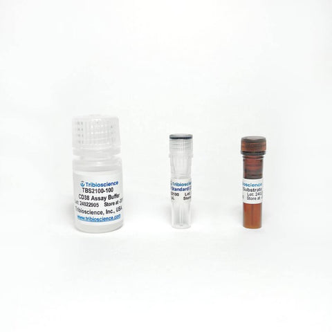 Tribioscience CD38 (Cyclase) Activity Assay Kit (Fluorometric) (TBS2100)