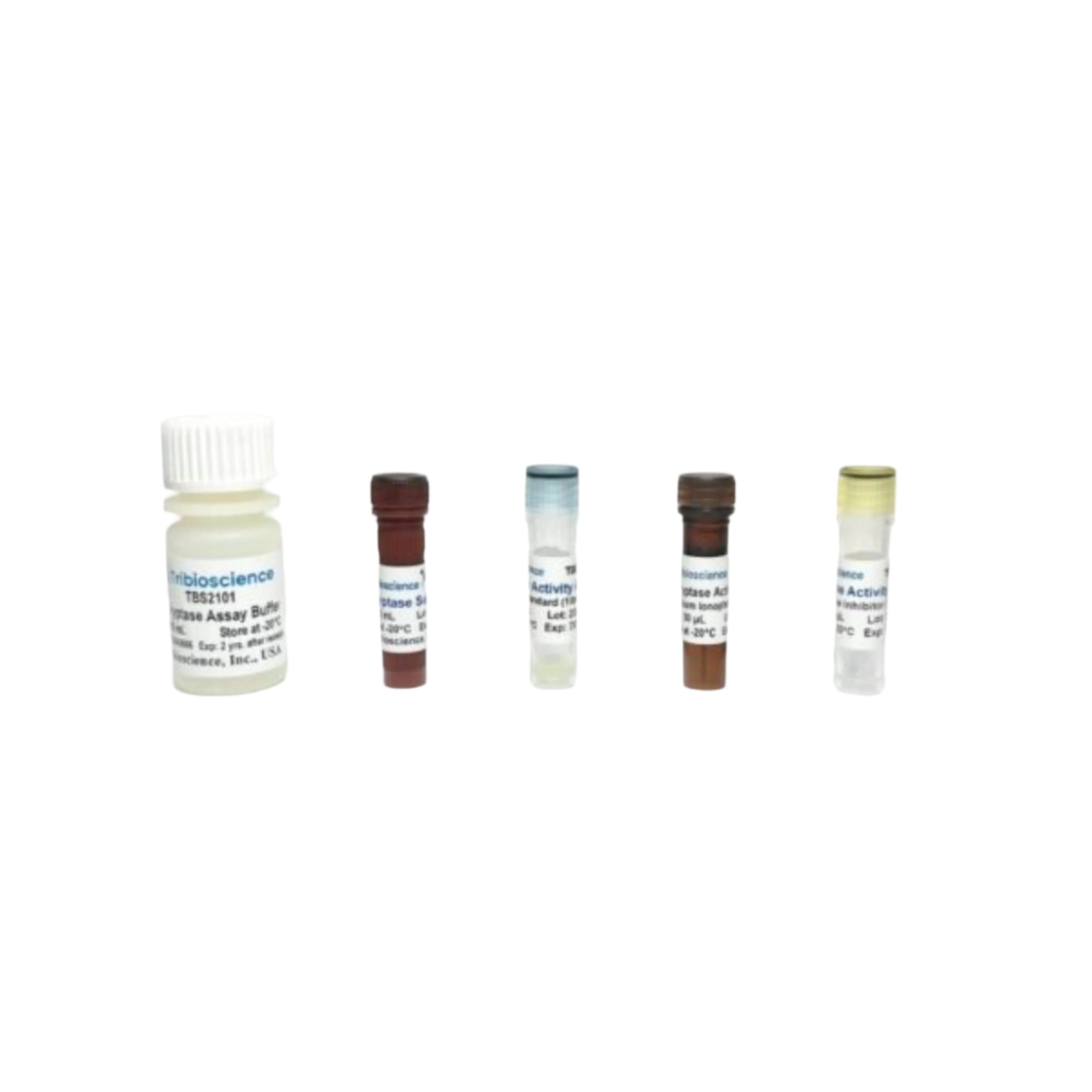 Tribioscience Tribo™ Tryptase Activity Assay (TBS2101)