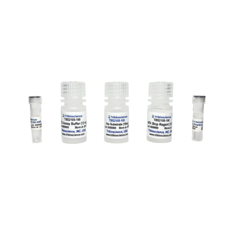 Tribioscience Beta-N-Acetylglucosaminidase (Beta-NAG) Activity Colorimetric Assay (TBS2105)