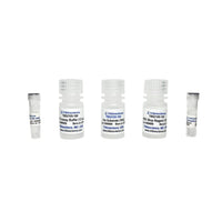 Tribioscience Beta-N-Acetylglucosaminidase (Beta-NAG) Activity Fluorometric Assay (TBS2105F)