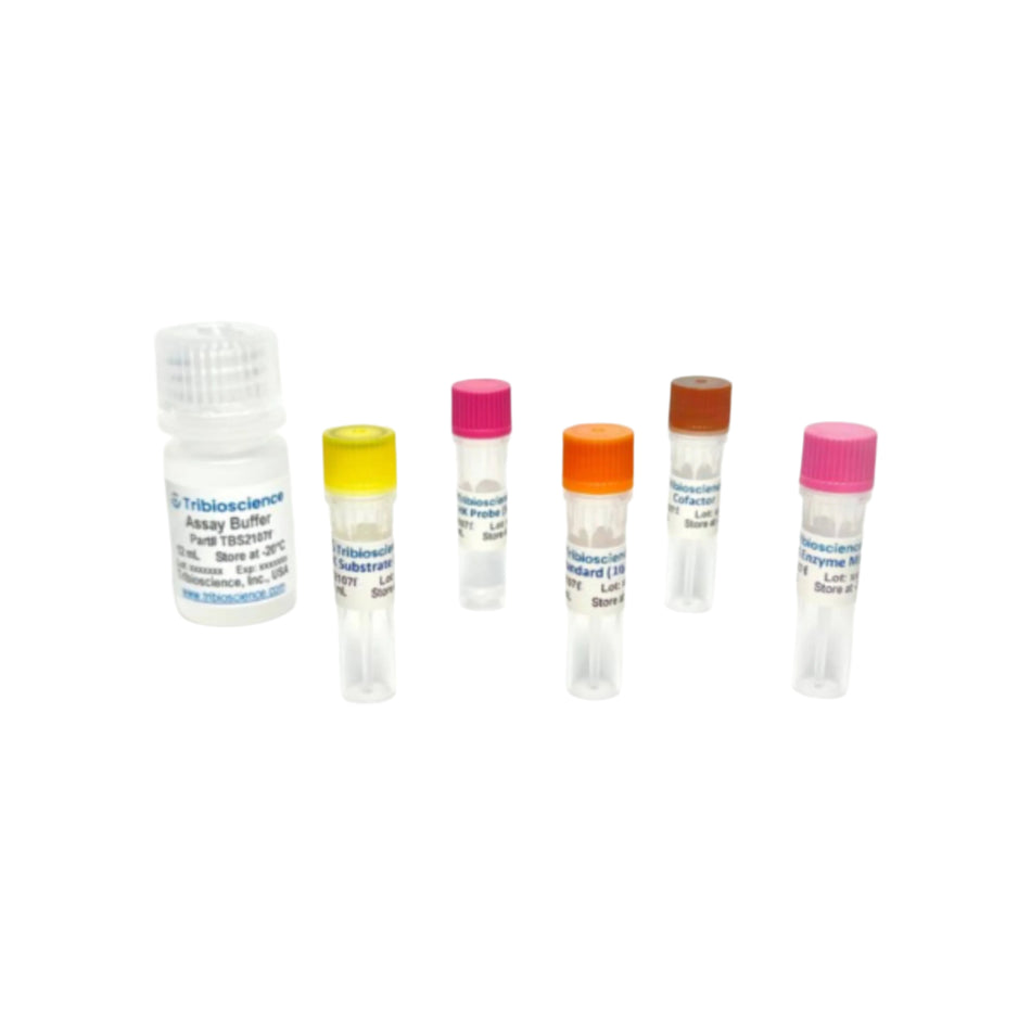 Tribioscience Hexokinase Activity Fluorometric Assay (TBS2107F)