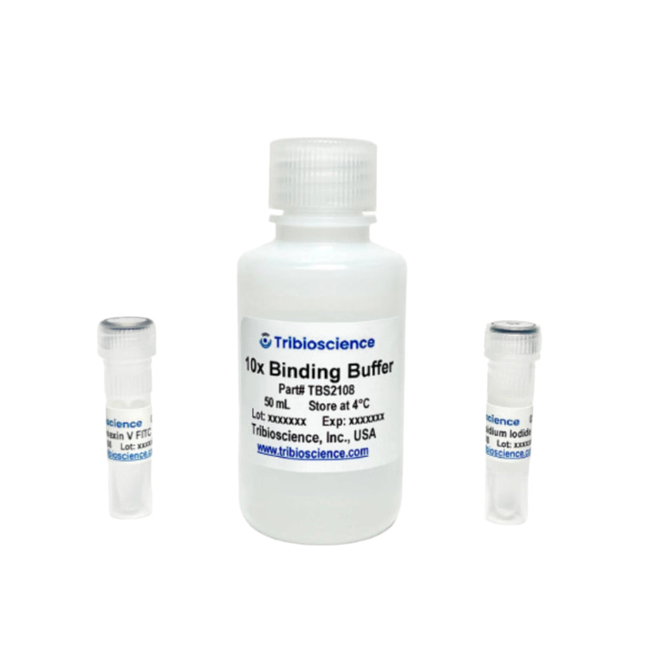 Tribioscience Annexin V Binding Assay (TBS2108)