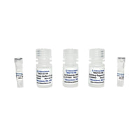 Tribioscience β-Glucuronidase Assay (TBS2110)