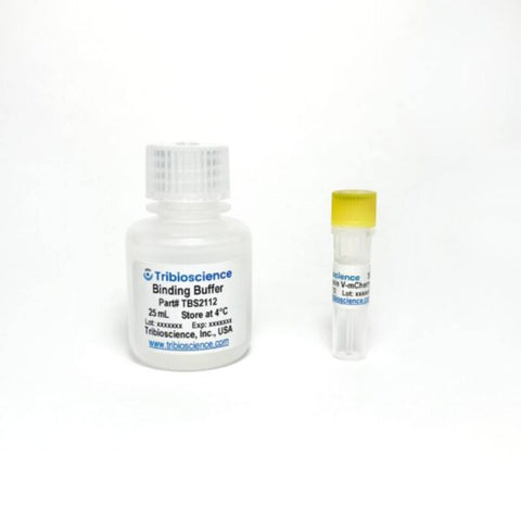 Tribioscience Annexin V-mCherry Apoptosis Assay (TBS2112)