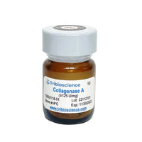 Tribioscience Collagenase A (TBS2118)