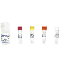 Tribioscience Triglyceride Colorimetric Assay (TBS2205C)