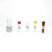 Tribioscience Triglyceride Fluorometric Assay (TBS2205F)