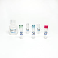 Tribioscience 2-Phosphoglycerate Colorimetric / Fluorometric Assay (TBS2206)