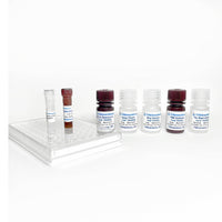 Tribioscience Mouse C5a ELISA Kit (TBS3001), Cell Assays, Tribioscience, MSE Supplies