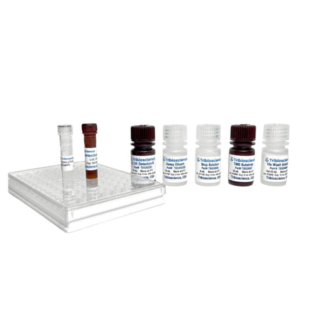 Tribioscience Fast Mouse C3d ELISA Kit (TBS3022), Cell Assays, Tribioscience, MSE Supplies