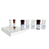 Tribioscience Tribo™ Mouse IL-1β ELISA Kit (TBS3030), Cell Assays, Tribioscience, MSE Supplies
